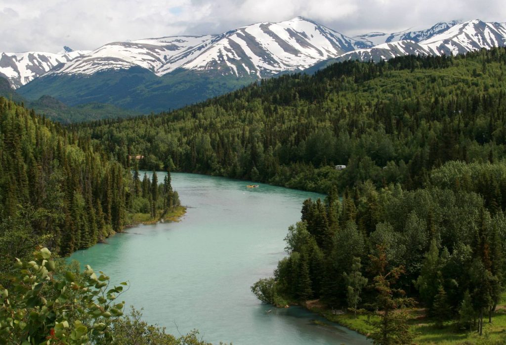 Kenai River sightseeing tour is perfect for all folks. 